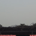09_40-mast.jpg