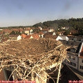 09_40-nest.jpg