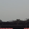 09_45-mast.jpg