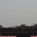 09_50-mast.jpg