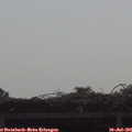 09_55-mast.jpg