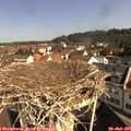 09_55-nest.jpg