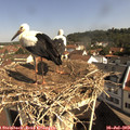 10_05-nest.jpg