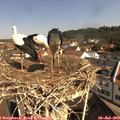10_15-nest.jpg