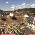 12_30-nest.jpg