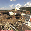 12_40-nest.jpg