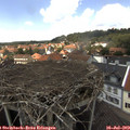 13_55-nest.jpg