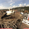 14_55-nest.jpg