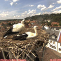 15_05-nest.jpg