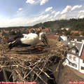 15_45-nest.jpg
