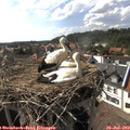 16_55-nest.jpg
