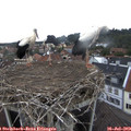 17_50-nest.jpg