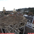 18_05-nest.jpg
