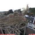 18_15-nest.jpg