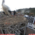19_40-nest.jpg