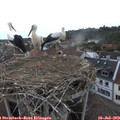 20_00-nest.jpg