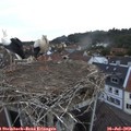 20_45-nest.jpg