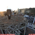 21_10-nest.jpg
