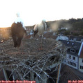 21_15-nest.jpg