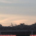 05_40-mast.jpg