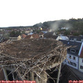 05_40-nest.jpg