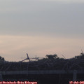 05_45-mast.jpg
