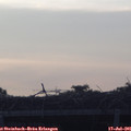 05_50-mast.jpg