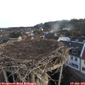 05_55-nest.jpg