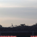 06_00-mast.jpg