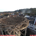 06_00-nest.jpg