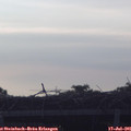 06_05-mast.jpg