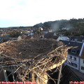 06_05-nest.jpg
