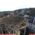 06_10-nest.jpg
