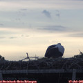 06_20-mast.jpg
