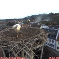 06_20-nest.jpg