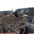 06_25-nest.jpg