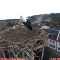 06_30-nest.jpg