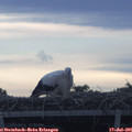 06_35-mast.jpg