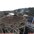 06_35-nest.jpg