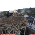 06_40-nest.jpg