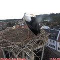 07_00-nest.jpg