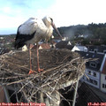 07_20-nest.jpg