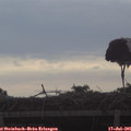07_30-mast.jpg