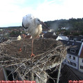 07_30-nest.jpg