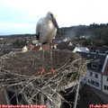 07_45-nest.jpg