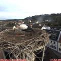 07_50-nest.jpg