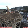 07_55-nest.jpg