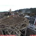 08_00-nest.jpg