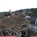 08_05-nest.jpg