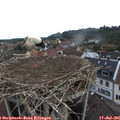 08_15-nest.jpg